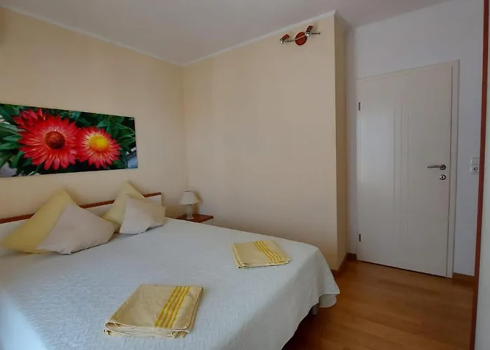 Apartament Jelica *