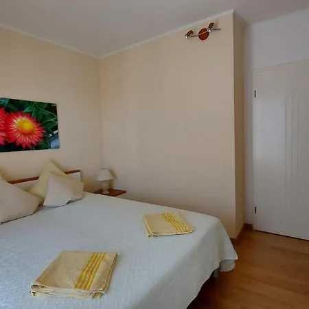 Apartamento Jelica *